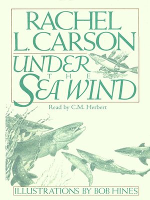 cover image of Under the Sea Wind